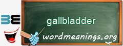 WordMeaning blackboard for gallbladder